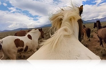 4K30. 4x the resolution of 1080p.