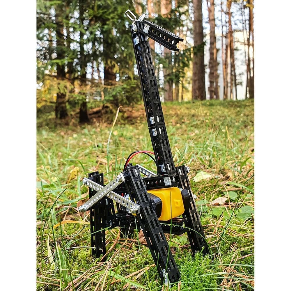 Totem Young Engineer Kit - Giraff