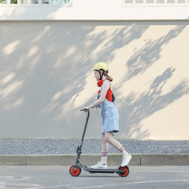 Ninebot Zing C20 - Elskoter