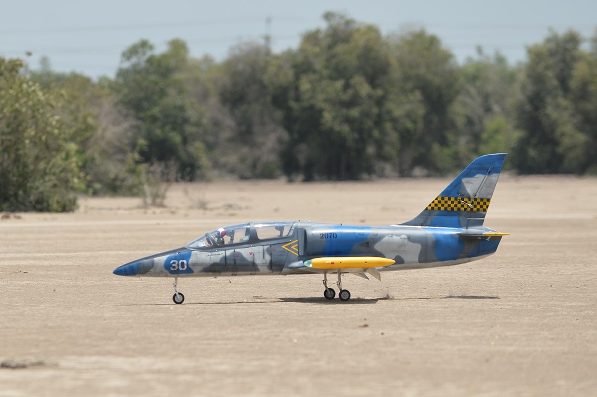 Black Horse Model L-39 Albatros Turbin 1.72m ARF