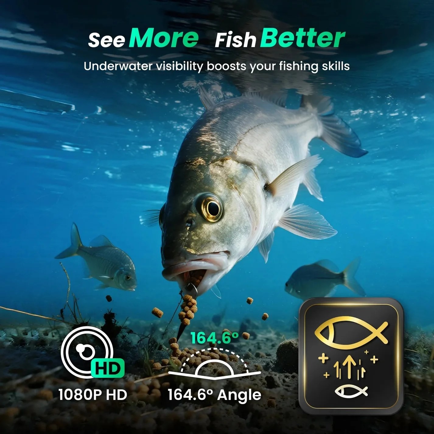 Chasing CF1 2025 - Live Underwater Fishing Camera