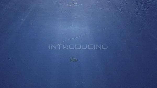 FIFISH V6 FIFISH V6